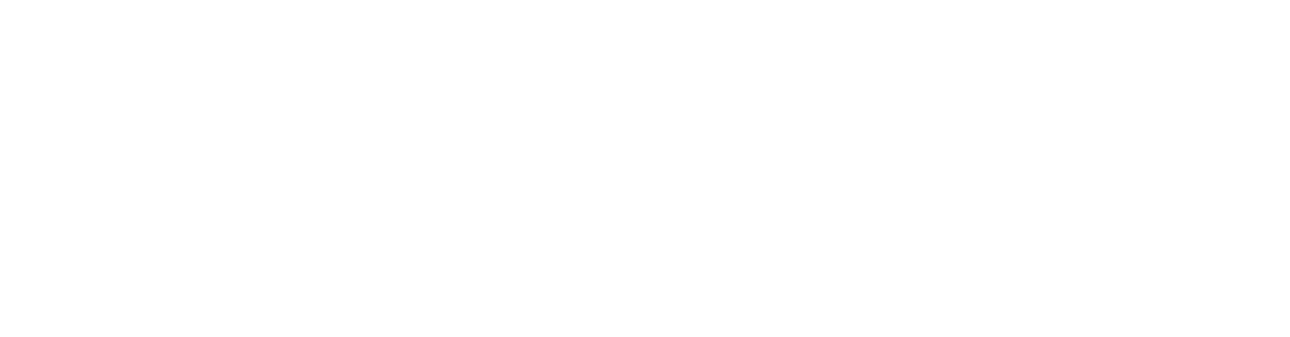 ROAR Logo - White - Horizontal